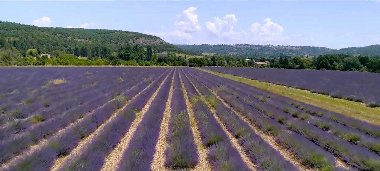 Le Nesk Ventoux - Hotel Sault-de-Vaucluse Dış mekan fotoğraf